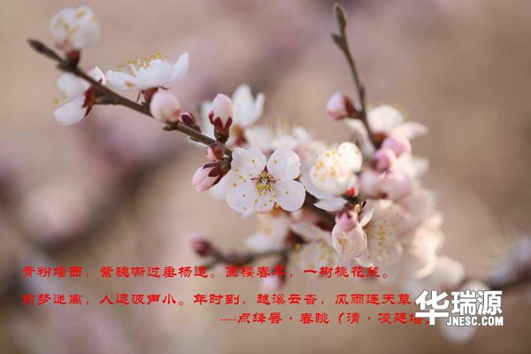 达尔文:迷茫的时候做这两件事,决定你将来2年的样子