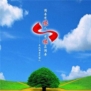 国寿汽车保险代理优势